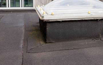 disadvantages of Danehill flat roofs